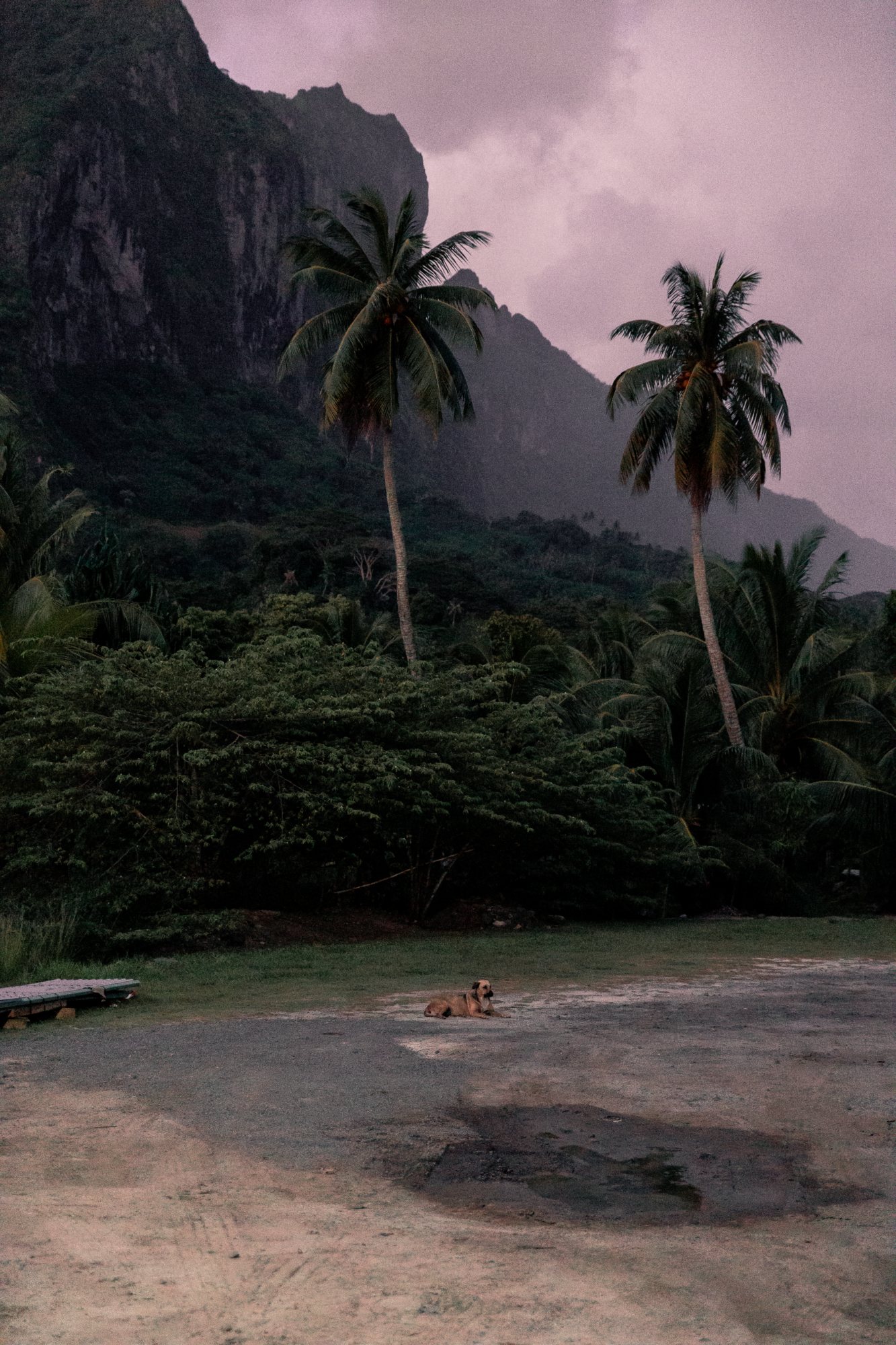 The peaks of Moorea — travel photography by Jon Filin, French Polynesia, Tahiti, Moorea