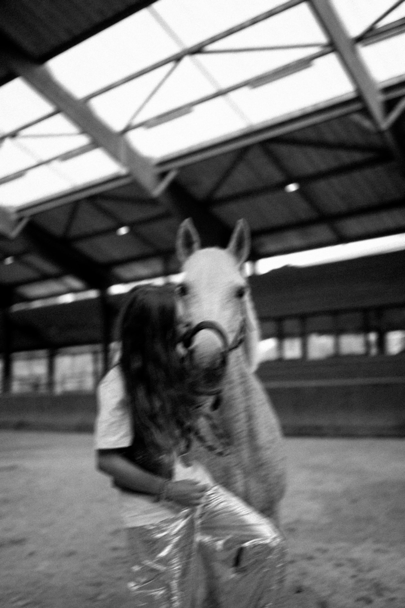 Under the glass roof, Jablines — equestrian photography by Jon Filin, Horse, Paris