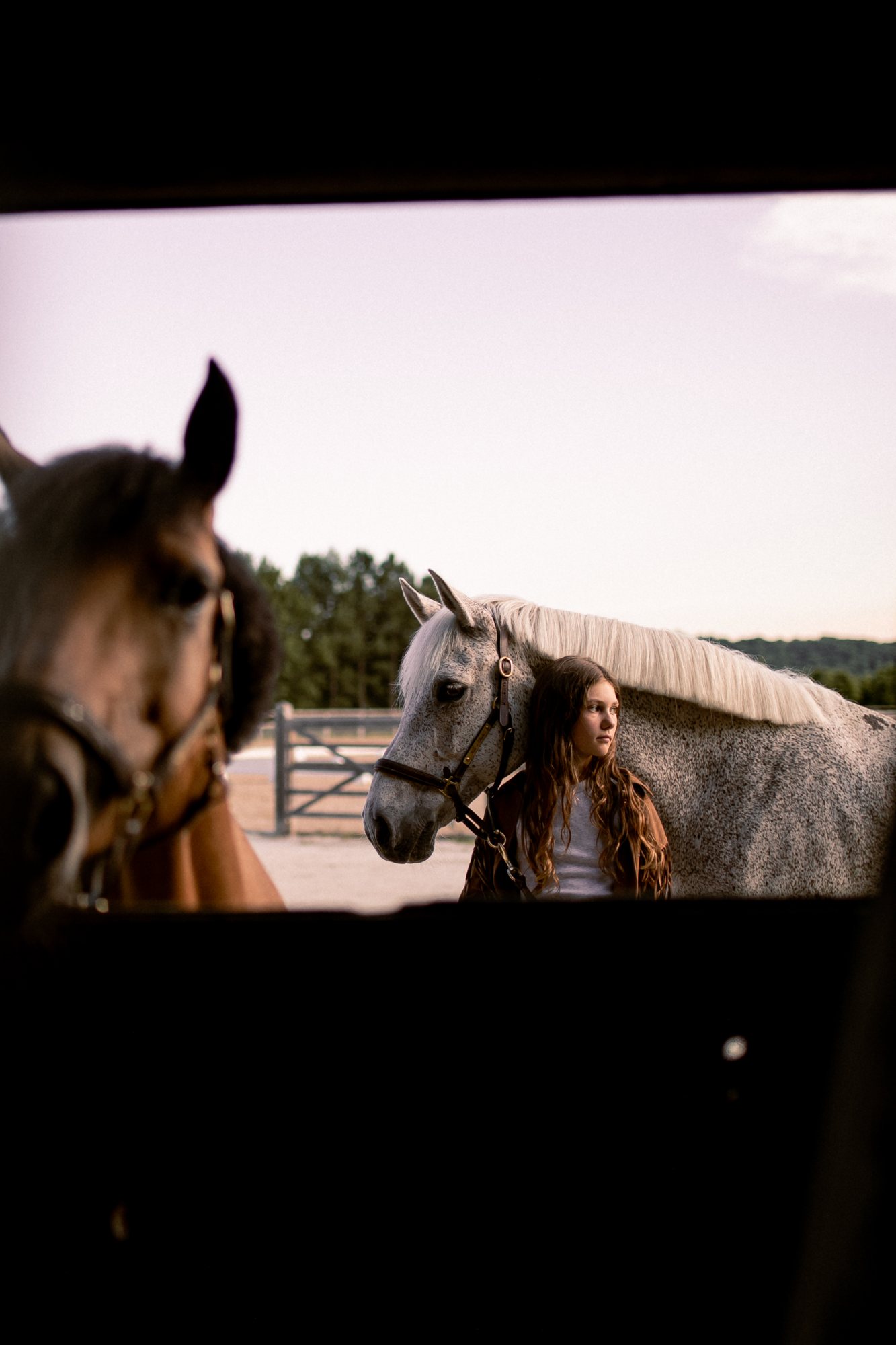 In the stable door, Jablines — equestrian photography by Jon Filin, Horse, Paris