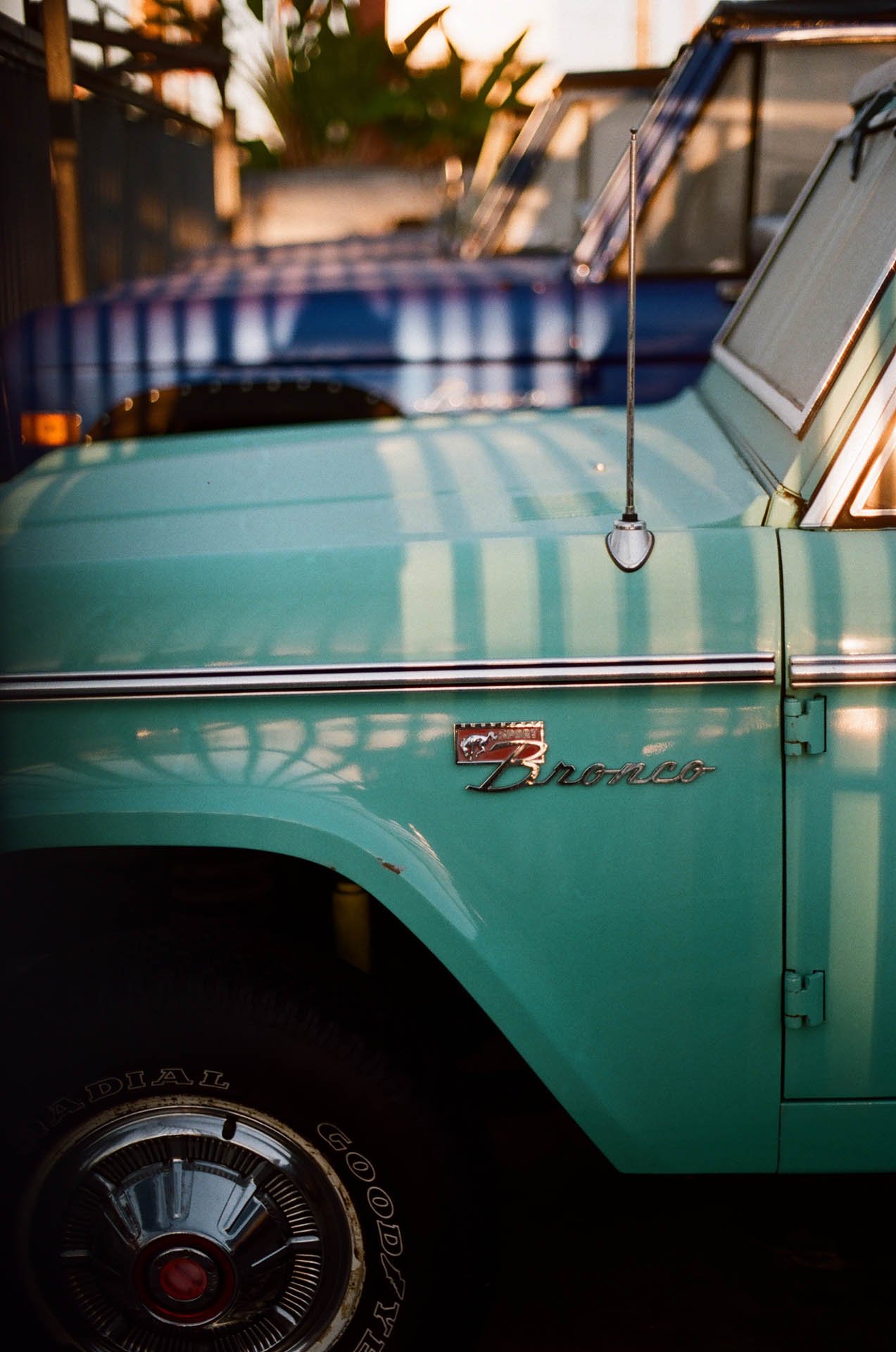 Film photography by Jon Filin